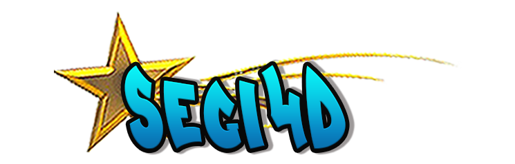 Segi4D